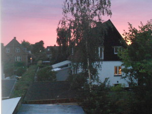 sunset out my kitchen window. so pretty! that was like 10pm last night