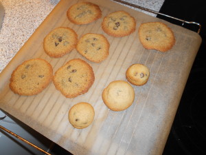 my adventures with trying to bake cookies that the neighbor didn't want....they tasted yummy! they just look funny. Danish appliances are....well...that is one thing danes are not good at. ha. 