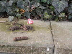 so, ya know how I said that esbjerg is weird - well, here is one eksempel. they put little danish flags in all the dog poop on the side walks. I don't understand. But, that is Esbjerg for ya!